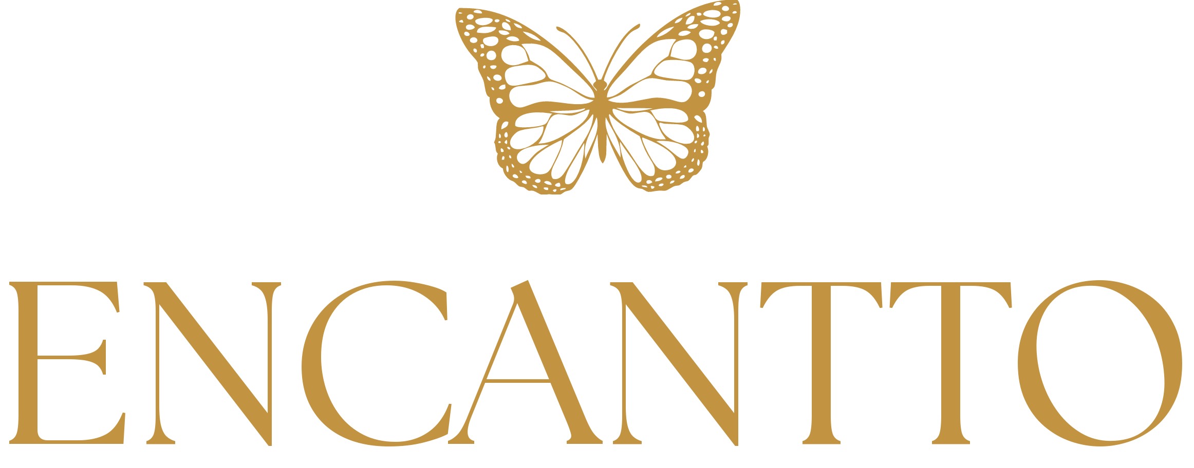 Logo Encantto Store